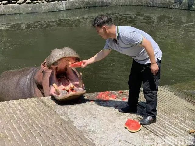 DƬ